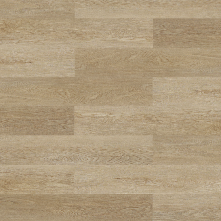 Experto LVT 30 Dub Bari