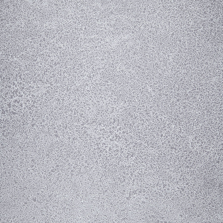 Fatra Novoflor Extra Sparkle 2440-58