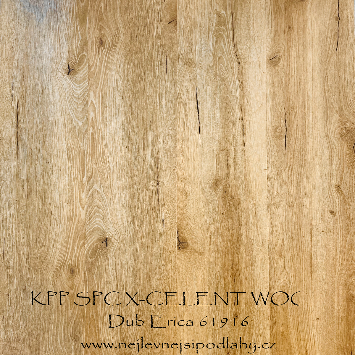 KPP SPC X-CELLENT WOOD - Dub Erica 80101