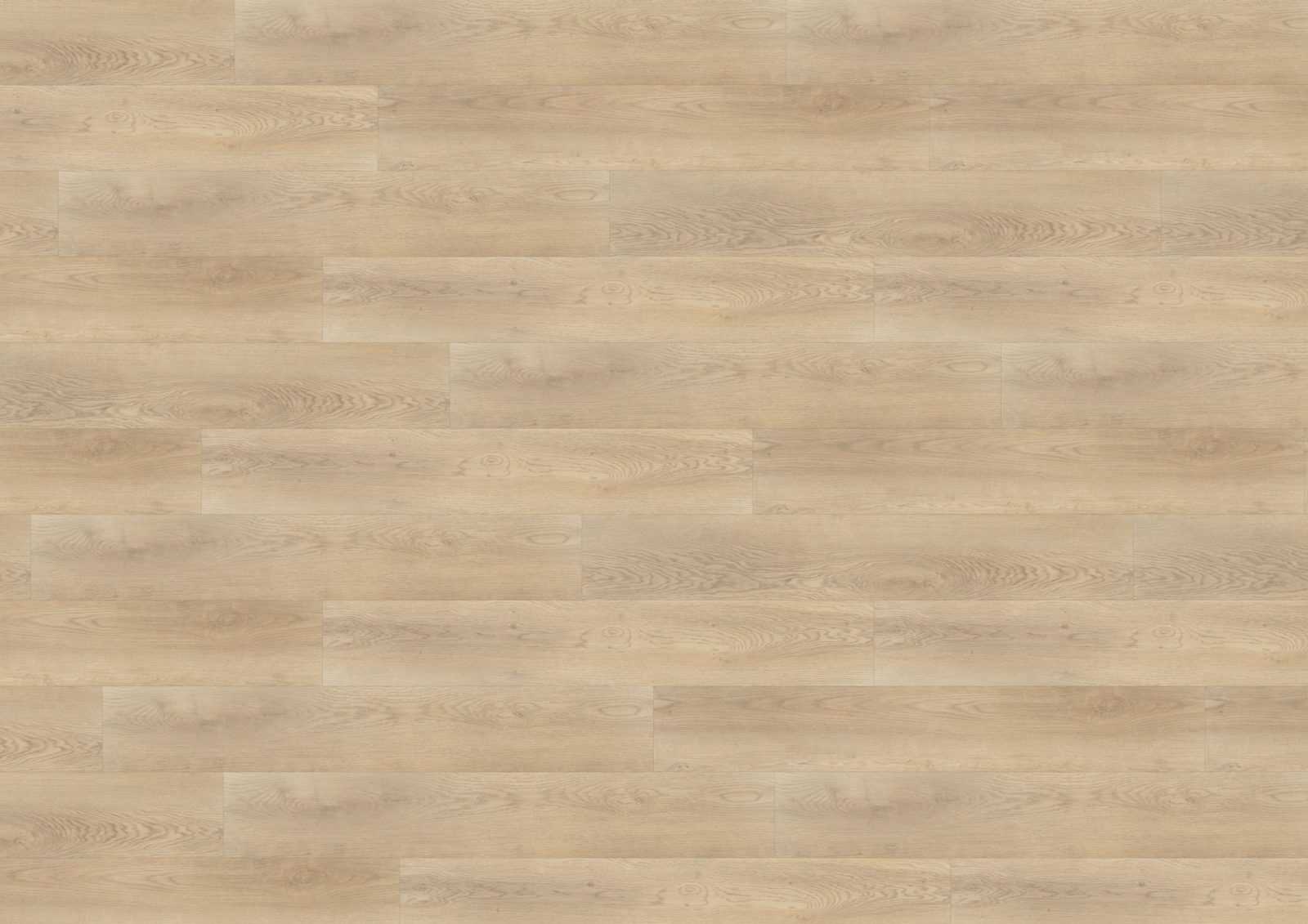 MilanoLoft DB190W6