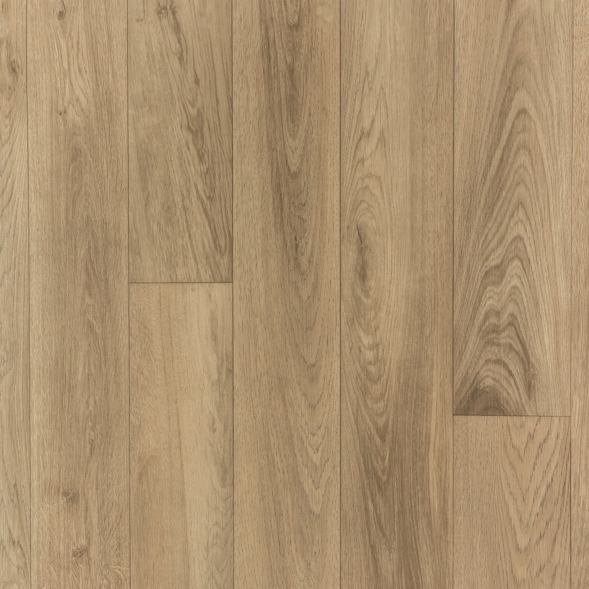 Noblesse French Oak Beige 082