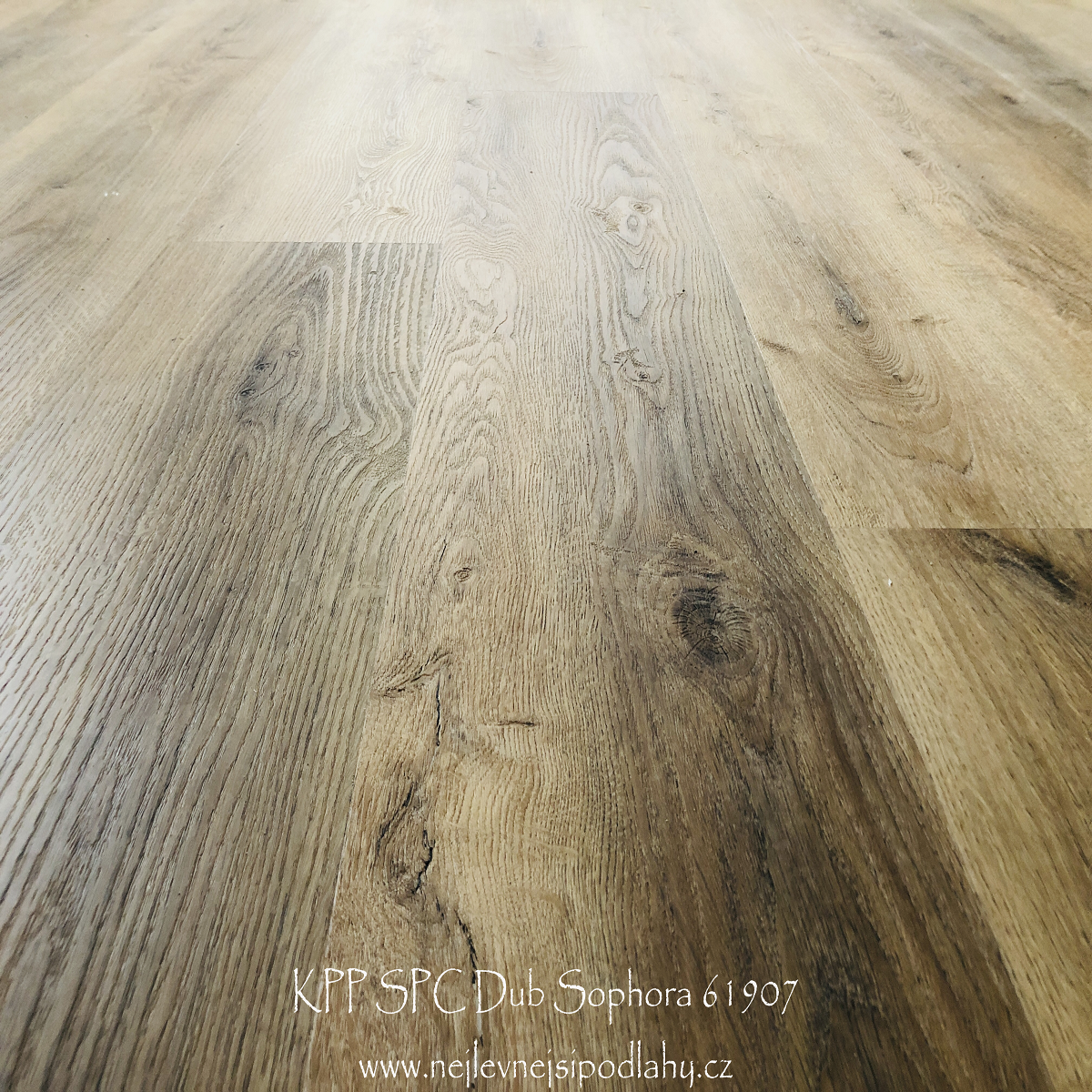 KPP SPC X-CELLENT WOOD - Dub Sophora 80109