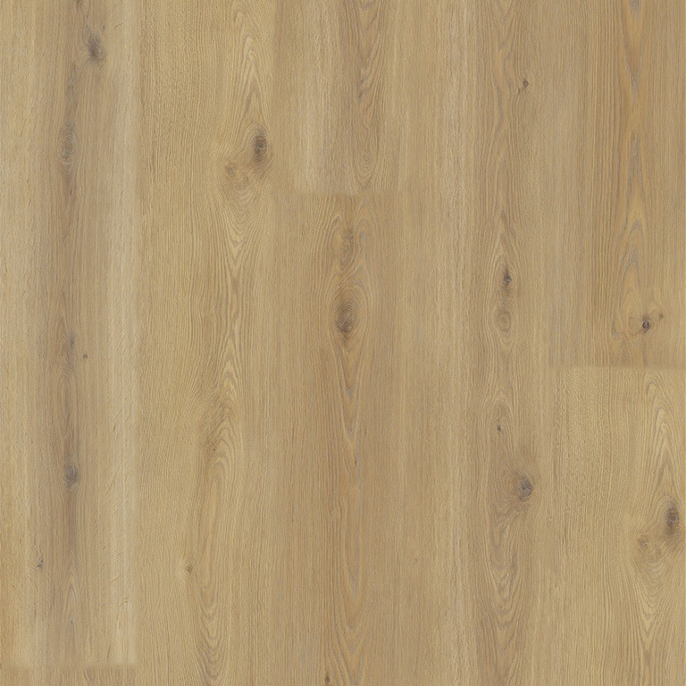 Experto LVT 55 Dub Calle 8196L-001