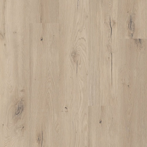 Coretec Flexile 1200 Forest 50FLX806