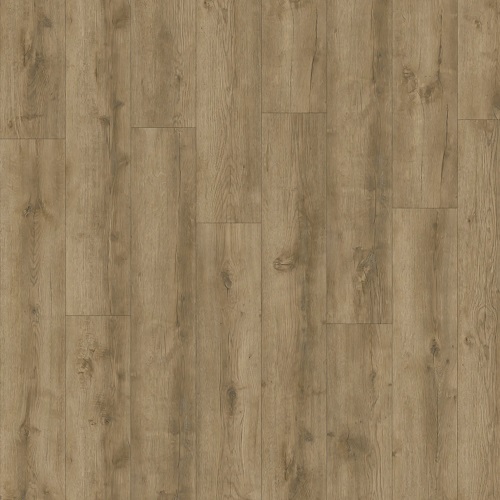 AVVIO - Major Oak 24863