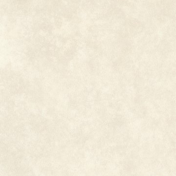 Amtico First Dew Stone SF3S4437